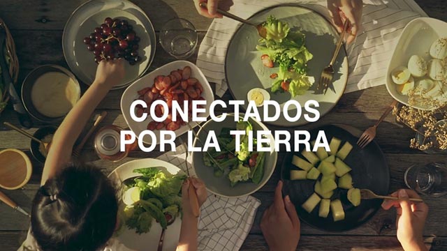 Conectados por la tierra