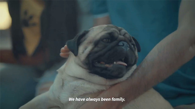 Somos familia