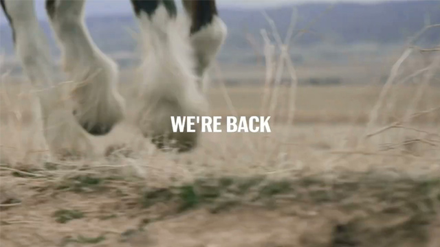 Teaser - We are back
