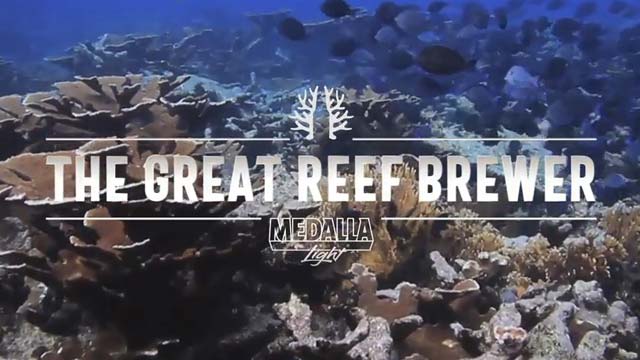The great reef brewer (El Ojo 2021)