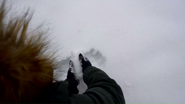 Nieve