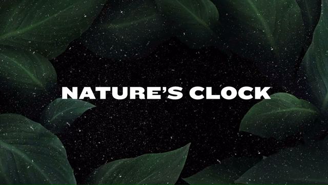 Natures Clock