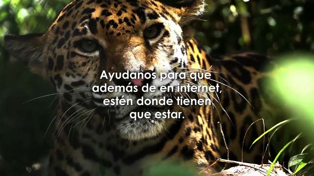 #LaOtraRealidad