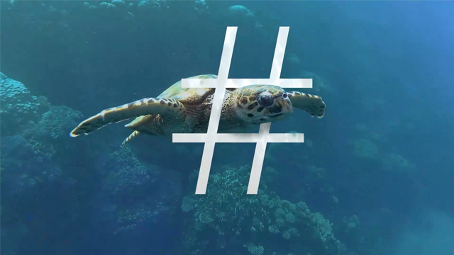 Caso - #StopGhostGear