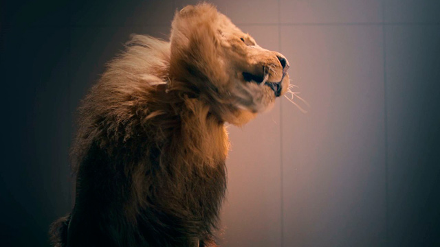 León