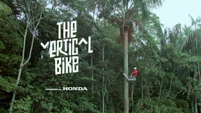 Vertical Bike