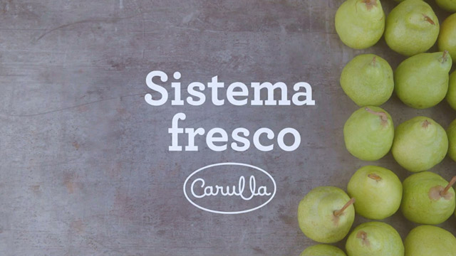 El Sistema Fresco