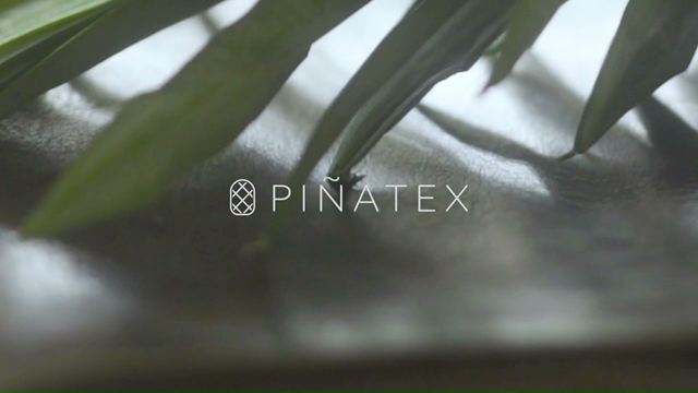Caso - Piñatex
