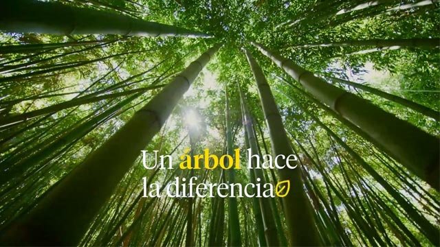 Un Árbol Hace La Diferencia