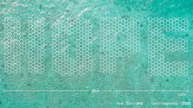 Hope Reef (Industry Craft Cannes 2022)