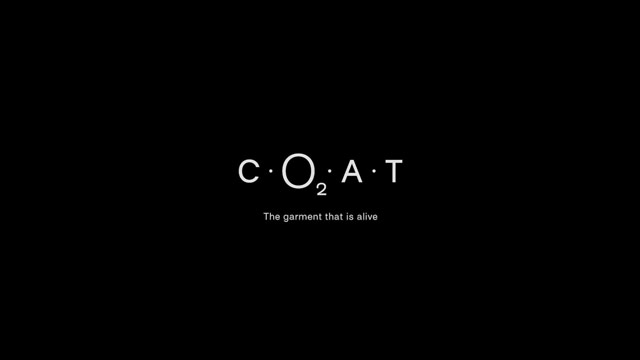 CO2AT