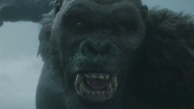 Call of Duty Warzone - Godzilla vs Kong