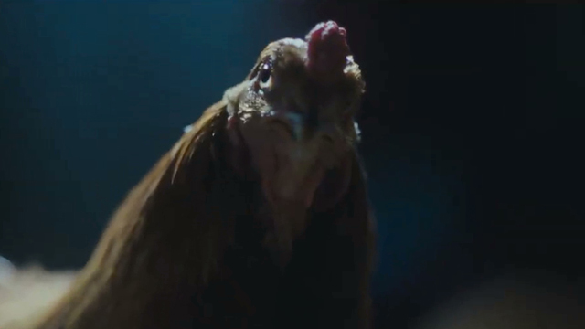 Gallinas