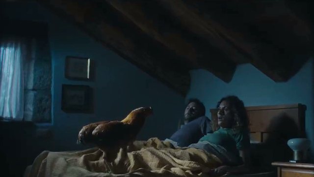 Gallinas (versión corta)