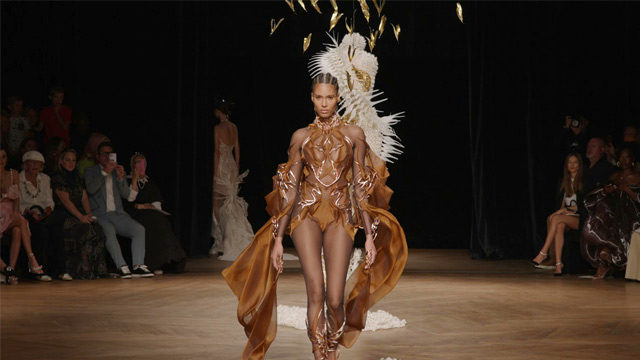 Runway - The Vegan Dress