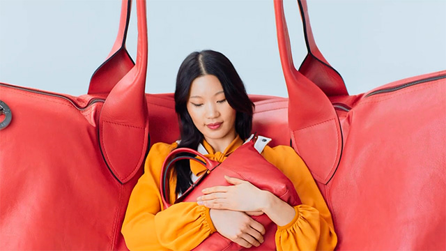 Le Pliage Cuir