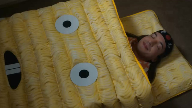 Sleeping Bag