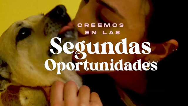 Teaser - Segundas oportunidades 