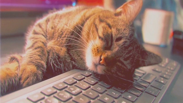 Teclacucha