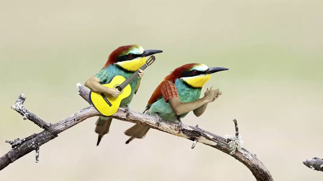 Pajaritos