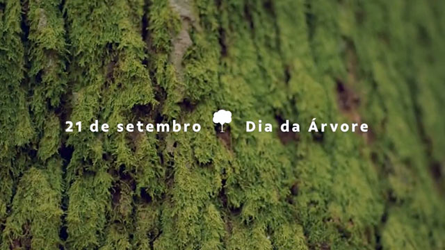 Jueirana-Facão