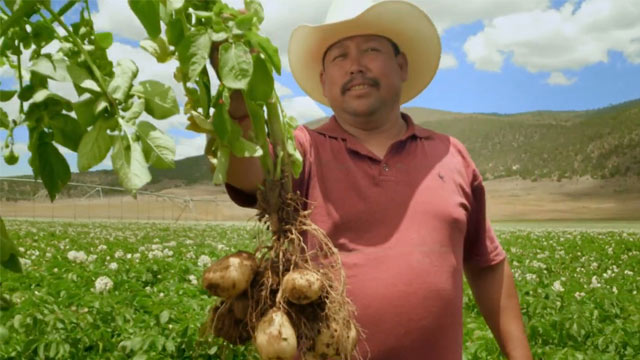 Trailer - El Cuarto Ingrediente