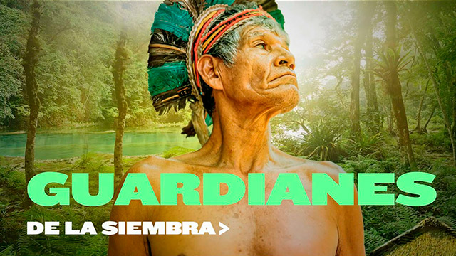 Guardianes de la siembra