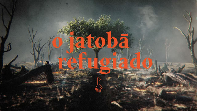 O Jatobá Refugiado
