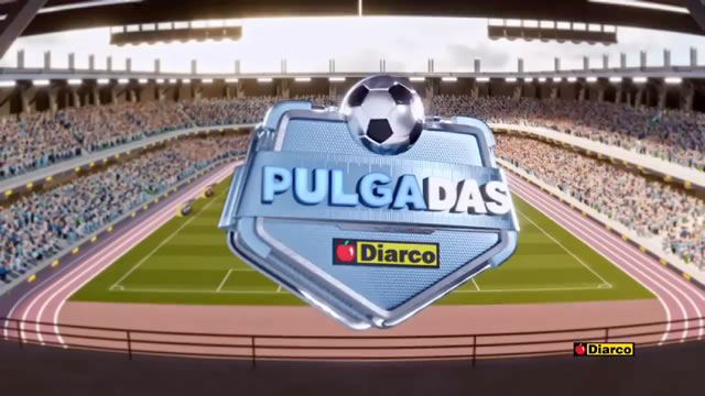 Pulgadas