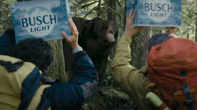 Black Bear