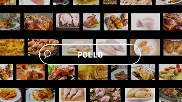 Pollo