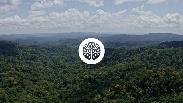 Verde Amazonia
