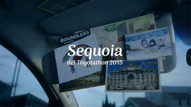 Gracias Sequoia