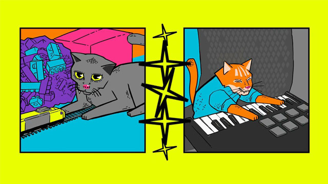 #CatBack