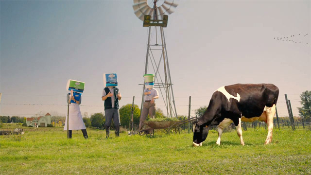 Vacas