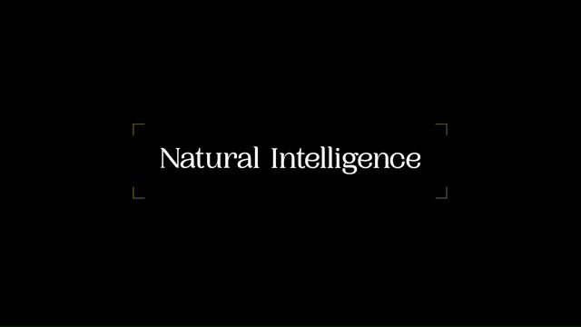 Caso - Natural Intelligence