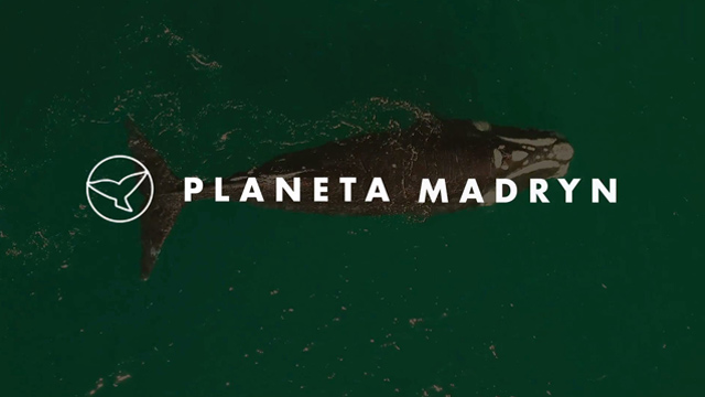Alineate a #PlanetaMadryn