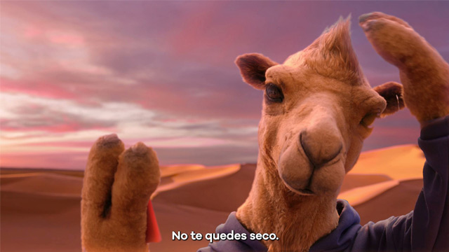 No te quedes seco 3