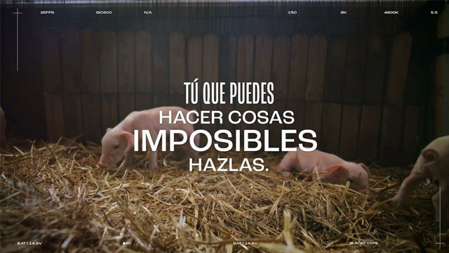 Tú que puedes hacer cosas imposibles, hazlas