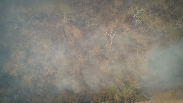 Humo