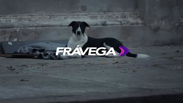 Perro de la Calle