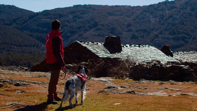Dogs Without Borders (El Ojo 2023)