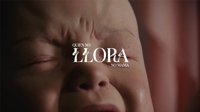 Quien No Llora, No Mama (El Ojo 2023)