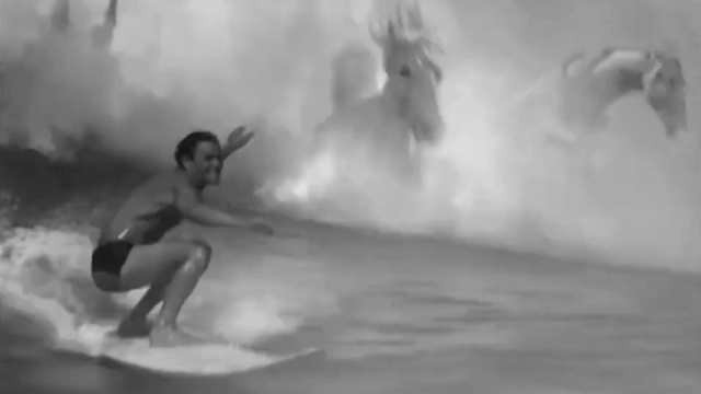 Surfer