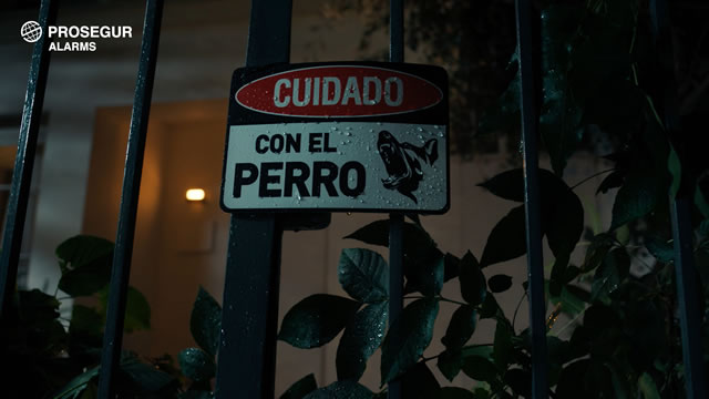 Nada es tan profesional