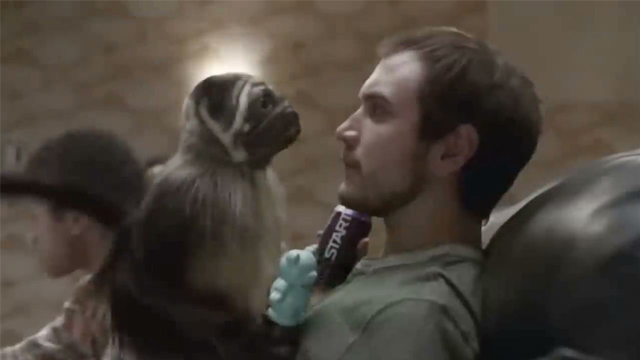 Puppy Monkey Baby