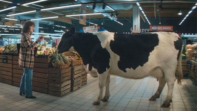 Tienes VACAS en la cabeza