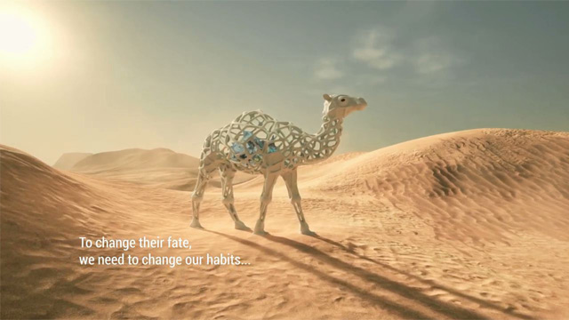 Caso - The Lost Camel