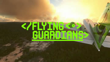 Flying Guardians