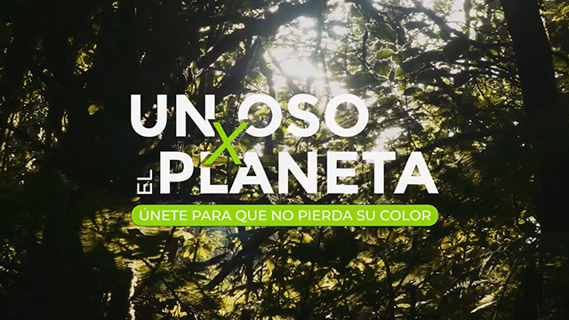 Un oso x el planeta, únete para que no pierda su color